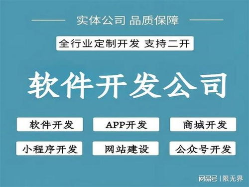 北京軟件開(kāi)發(fā)公司開(kāi)發(fā)能力綜合評(píng)估 技術(shù)實(shí)力與創(chuàng)新實(shí)踐